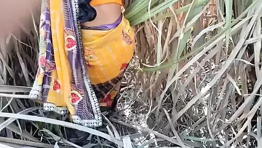 新的最好的印度德西村户外狗式性爱