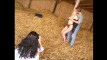 Pregled videozapisa