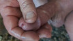 Pratinjau video