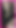 Big cock Pornstar