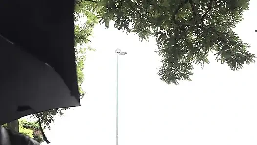 Gavat siyah boğaların dölünü yalamak istiyor!