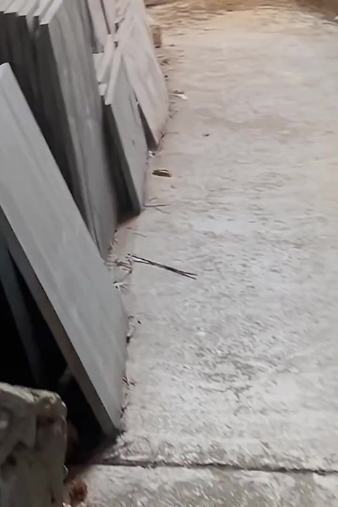 Window Open While Home Alone