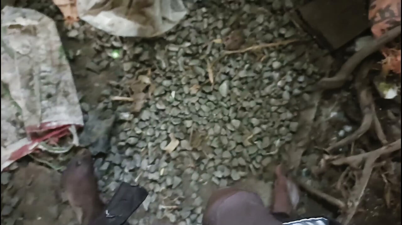 Mi shetat hasta methun kelo viray kada lo