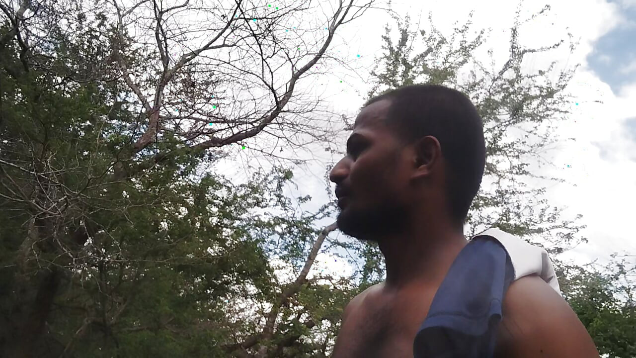 XHard India Searching on forest