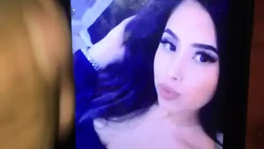 Wanktribute hessy