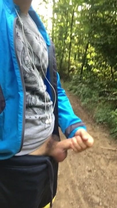 In to the wood 2