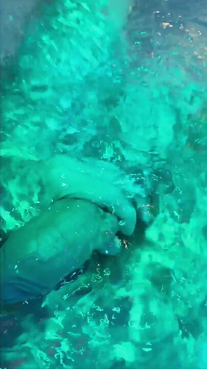 white new boy's dick filled with cum