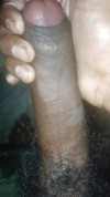 Pratinjau video