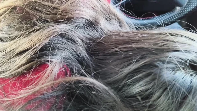 Girlfriend giving blowjob to her boyfriend in car sex in public