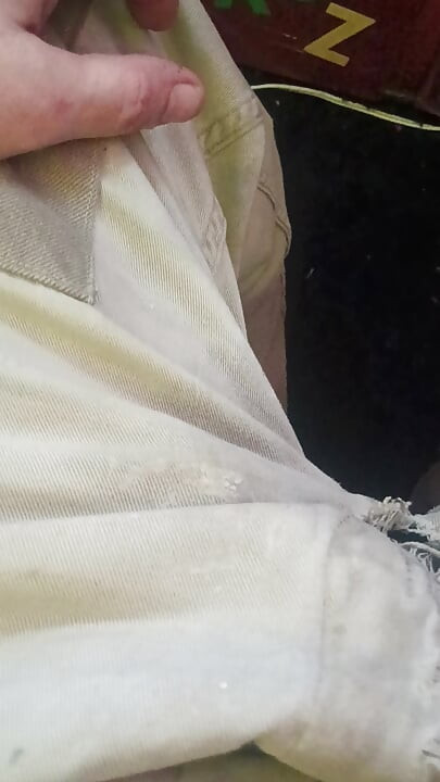 Piss Pig Fag boy
