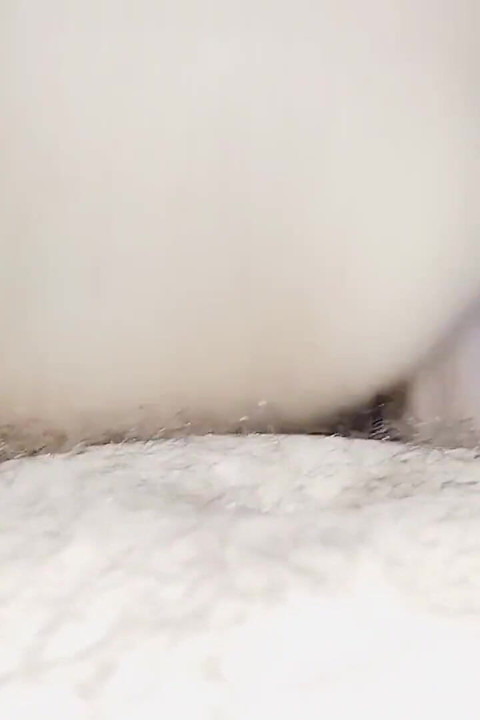 Your Friend's Wife's Sex Is Hot, Strong, Egyptian Arab Sex, in a Clear, Loud Voice, Dirty Talk