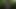 Forest Facial