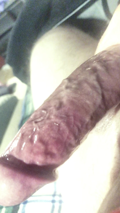 My Cock