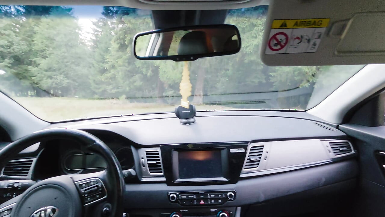 We Were Too Horny and Couldn't Wait to Get Home, So We Fucked in the Car