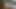 Utangaç sophie sativa seviyor nasıl sen becerdin onu