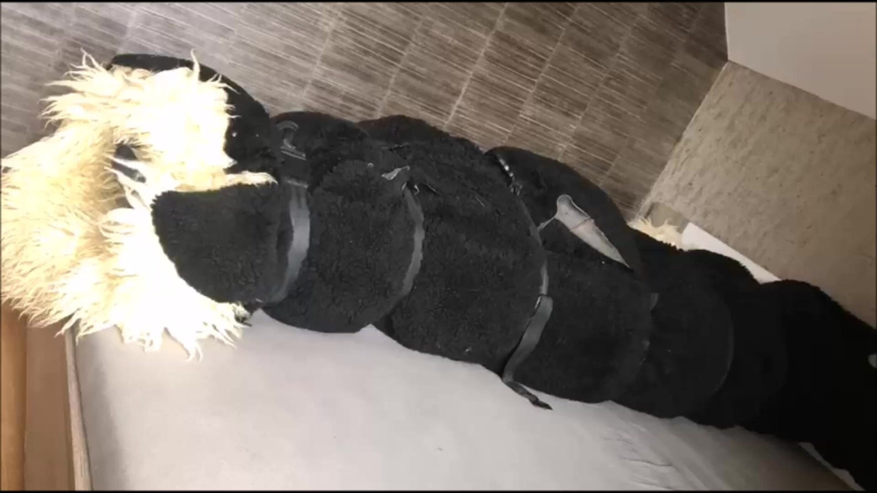 Fur orgasm 7