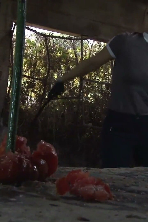 Whip That!