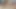 Two lesbian girlfriends caress themselves on camera