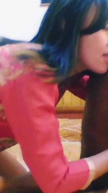 Pregled videozapisa