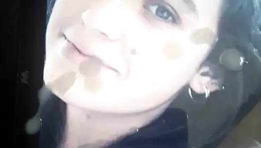 Bir paloma cumtribute