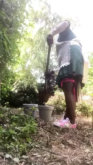 U odeći za planiranje zasaditi u šerpe