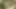 Priscila Dandara 4