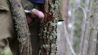 Masturbation dans la forêt en automne