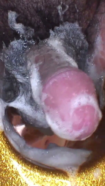 Junge Notgeile Thai hat Ihren ersten dreier mit Deepthroat | Clip 1