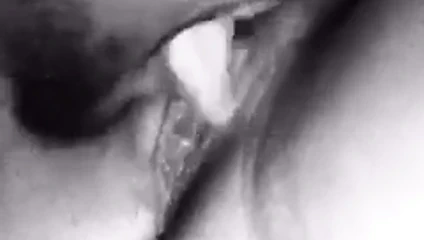 Eating pussy
