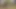 Bare Feet Naked In The Public Park April 2021