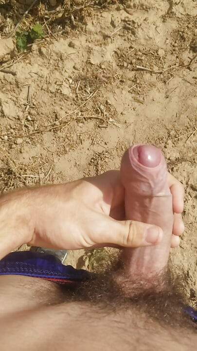 Masturbation in nature