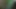 iraqi gf ANAL
