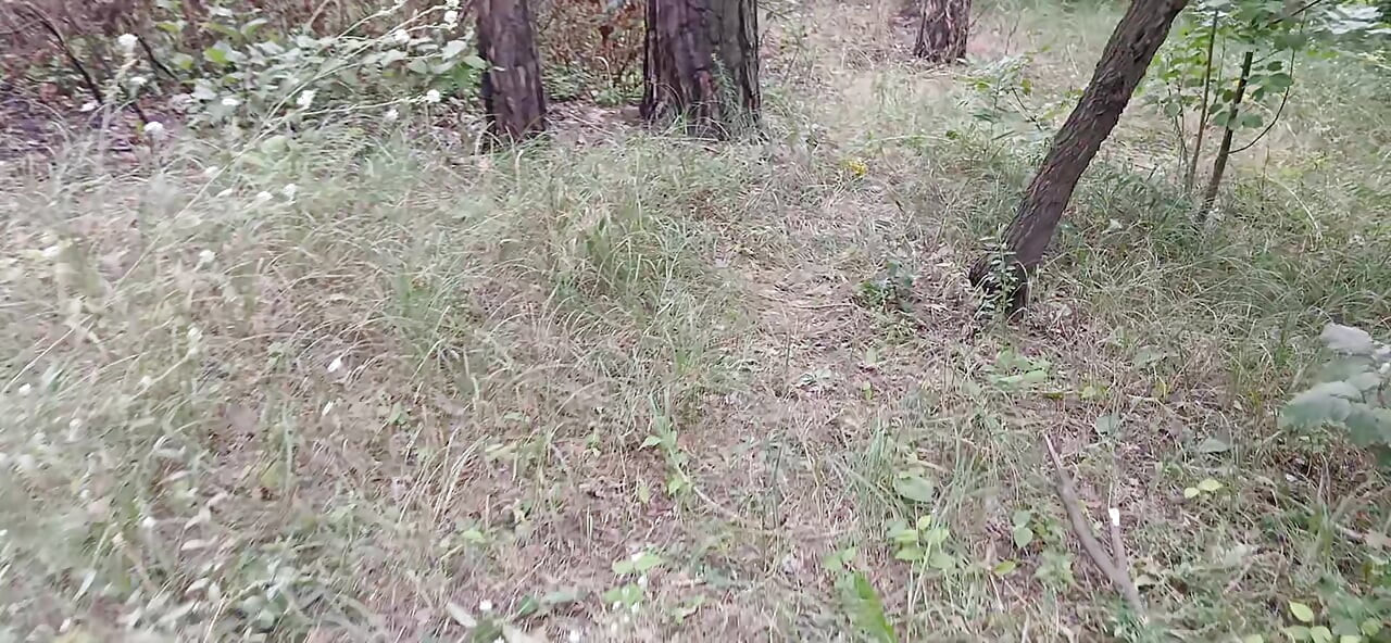 আমাদের তৃতীয় গার্লফ্রেন্ড পার্কে পাহারা দেয় যাতে কেউ আমাদের সেক্স করতে ধরে না ফেলে
