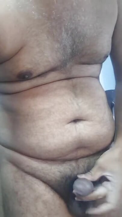 整夜..為您的整個貓咪帶來樂趣...