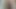 precum and hairy uncut cock