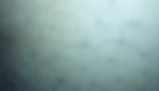 اللعب مع كس بلدي