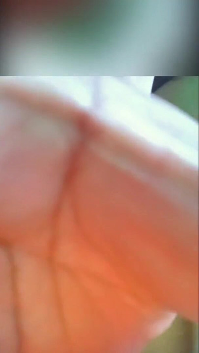 Romantični par zabardast chudai | Isječak 1