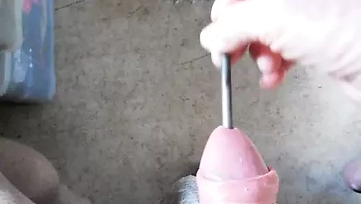 horoz oyun