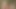 Two Naughty German Girls Adore Sharing a Big Load of Cum in the Woods