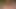 Michelle Trachtenberg