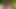 Sarışın orta yaşlı seksi kadın emlakçıyla sikişiyor