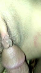 fucking pussy