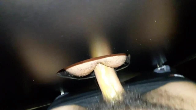 Cogiendo en gloryhole con mierda