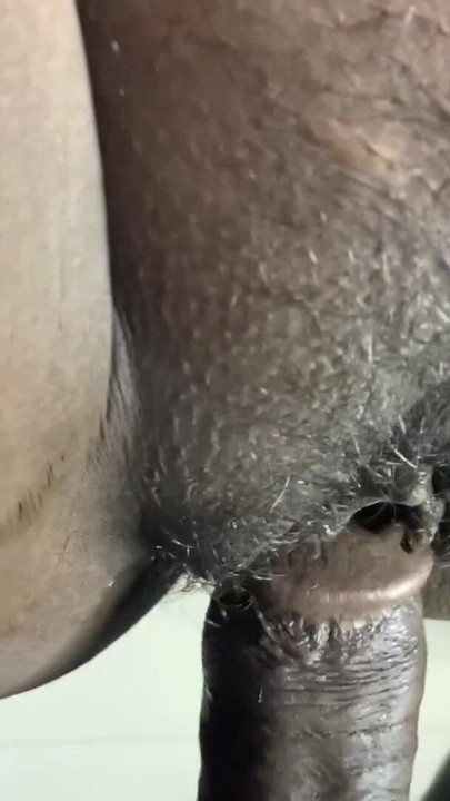Atemberaubender moment aus "Stiefbruer und stiefschwein ficken sexvideo hindi audio"