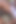 私はブッシュで義理の兄弟とセックスしている