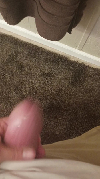 ソックスが自分のチンコで遊ぶ