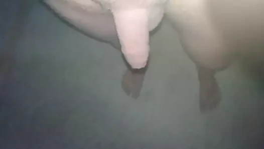 Suesse traeume ter rüyalar