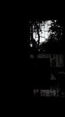 New song.