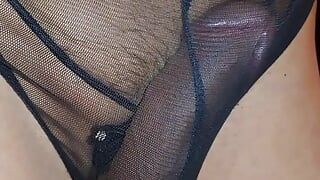 Bite attachée dans une culotte transparente.