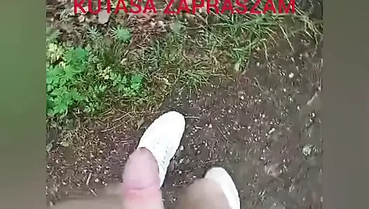 Zadbany kutas